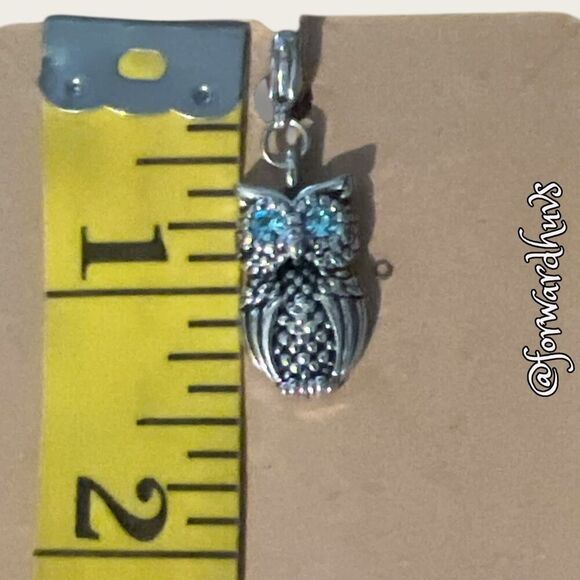 Bundle Sale 3 for $15 | Silver-Tone Owl Charm with Light Blue Rhinestone Eyes - Picture 8 of 9